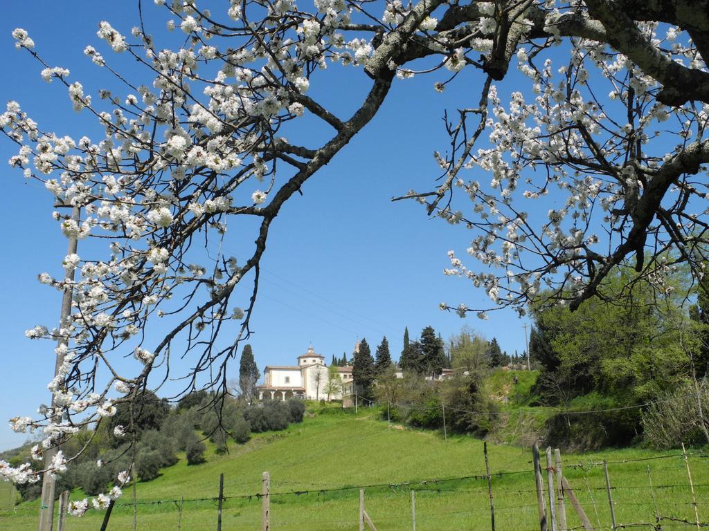 Hotel Le Renaie San Gimignano Zewnętrze zdjęcie